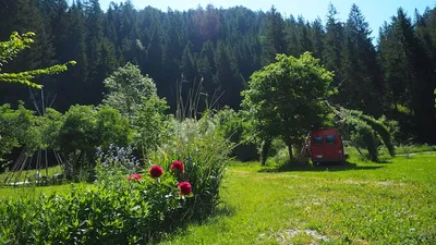 Blumenbeet mit Pfingstrosen am Wiesenrand, dahinter ein roter Kastenwagen unter Obstbäumen
